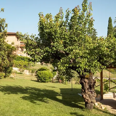 Toscana Da Sogno A Allegria Appartement