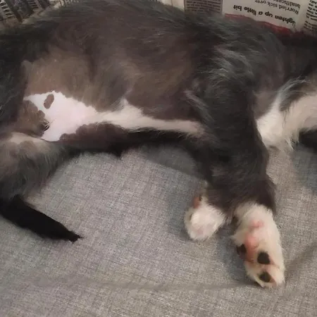 Toscana Da Sogno A Allegria Апартаменти *