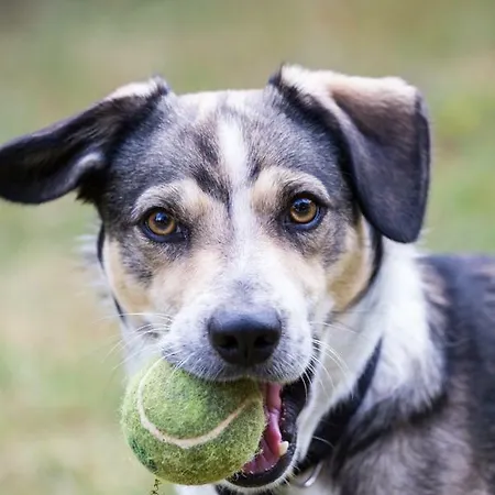 Toscana Da Sogno A Allegria * Сієна