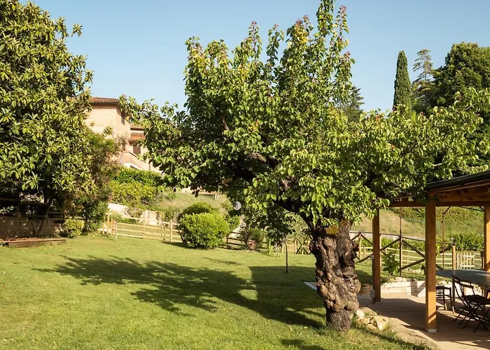 Toscana Da Sogno A Allegria Apartament