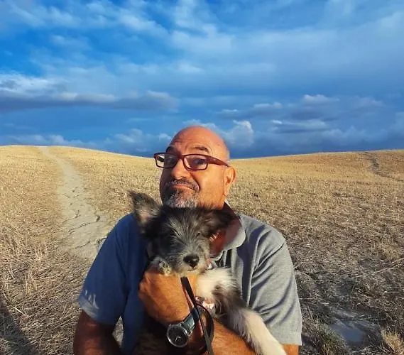 Toscana Da Sogno A Allegria 公寓 锡耶纳