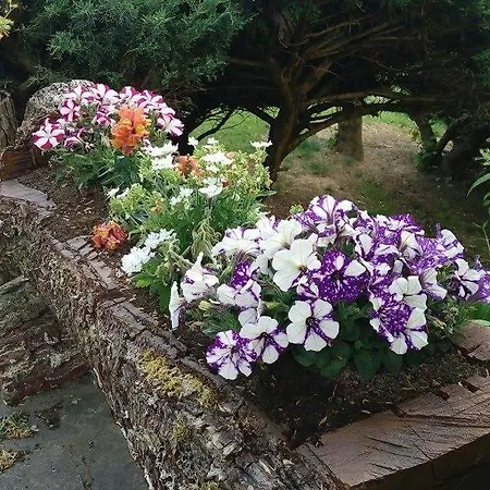 아파트 Toscana Da Sogno A Allegria 시에나