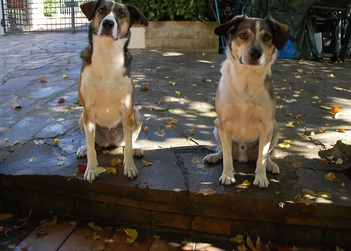 Apartment Toscana Da Sogno A Allegria Siena