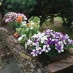 公寓 Toscana Da Sogno A Allegria 锡耶纳