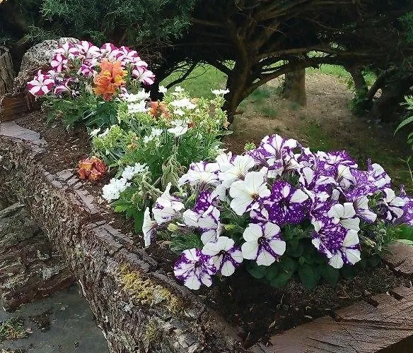 Appartement Toscana Da Sogno A Allegria Siena