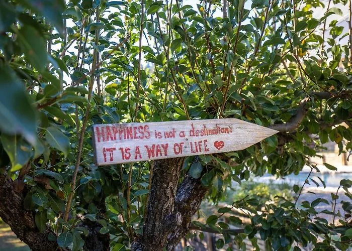 Toscana Da Sogno A Allegria *